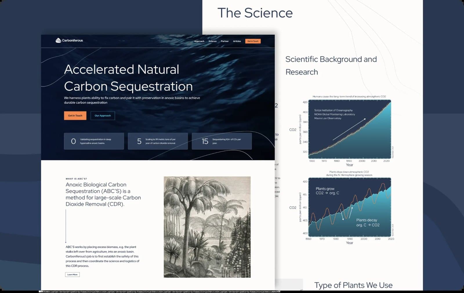 Carboniferous website